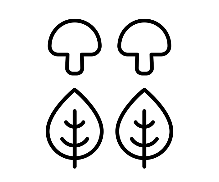 Fae Circle